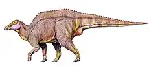 Barsboldia sicinskii