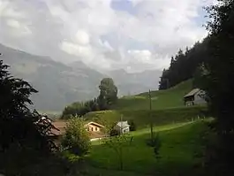 Landscape at Bas-Intyamon