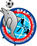 Shirt badge/Association crest