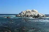 Beach near Reñaca