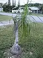Homestead, Florida.