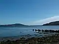 Beauly Firth looking towards the Kessock Bridge, seen in the distance