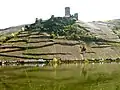 3. Old terraces below a medieval castle: the ruins of Metternich with the Beilsteiner Schlossberg hillside