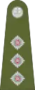 Captain
