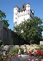 Electoral castle in Eltville