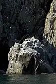 The bird cliffs of Big Koniuji Island