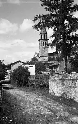 Biljana in 1953