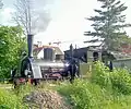 Loco no. 30 Chanderli in Binzen