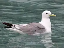 In Seward, Alaska