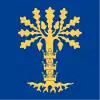 Flag of Blekinge County