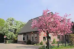 Erichem in bloom