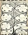 1901