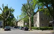 View of Borsigwalder Weg