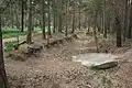 Image 16Pineferous forest of the sandy Bagshot Formation spanning parts of four boroughs towards the north-west and in the far west of the county, with defensive positions for historic army training near Deepcut and Pirbright (from Portal:Surrey/Selected pictures)