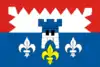 Flag of Branky