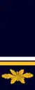 Brigadier