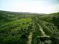 The Brontë Way crossing Brink Ends Moor