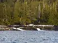 Brodie Lake falls into the inlet