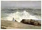 Winslow Homer, The Northeaster, c. 1883