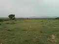 Buddhist Remnant site at Dhanadibbalu