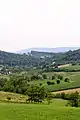 Bujačić - panorama