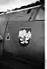 1939 Nazi-era aircraft nose art.