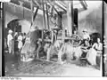 Sisal factory, c. 1906/18