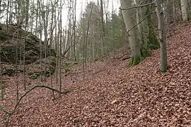 Image 6: Profile of the ditch. L: the castle site (Dec&nbsp;2014)