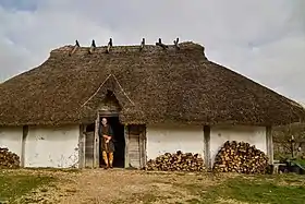 A re-enactor stands at the entrance to the Chalton A2 Saxon House reconstruction at Butser Ancient Farm