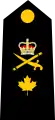 Dress uniform tunic - pre-2010