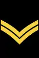 Sailor First Class (previously Leading Seaman) or matelot de première classe