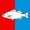 Flag of Nyon