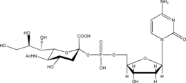 CMP-NeuNAc