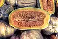 A West Indian pumpkin fruit
