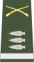 Captain
