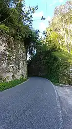 Puerto Rico Highway 140 in Frontón barrio