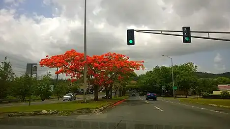 PR-8 at its junction with PR-3 between San Juan and Carolina
