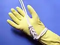Cat's paw tie