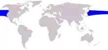 Northern right whale dolphin range
