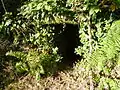 Megalithic burial chamber in La Courarie