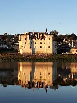 Image 6The Château de Montsoreau-Museum of Contemporary Art (France), is a private institution based in a Renaissance castle. (from Contemporary art)
