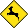 Watch for wild animals