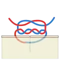 Surgeon's knot