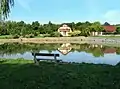 Common pond