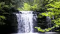 The main waterfall, about 1 mile (1.6&nbsp;km) along the trail.