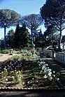 The Rose Terrace