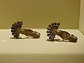 Lombard fibulae