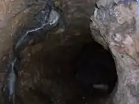 A passageway within the cave system