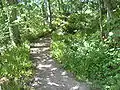 The start of the second walkway
