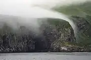Coastal view  with fog